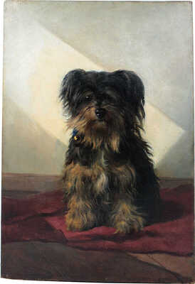 Сверчков Николай Егорович. Портрет собаки (терьер) 